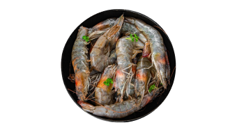 Prawns