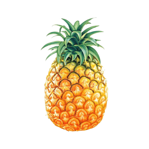 (GT) Pineapple (800 gm - 1.25 Kg), 1 Pc