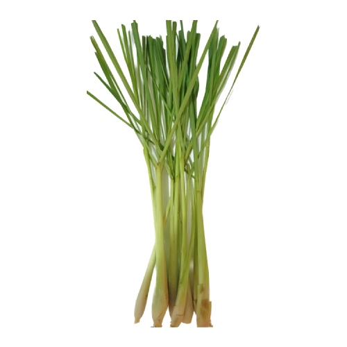 Lemon Grass, 100 gm