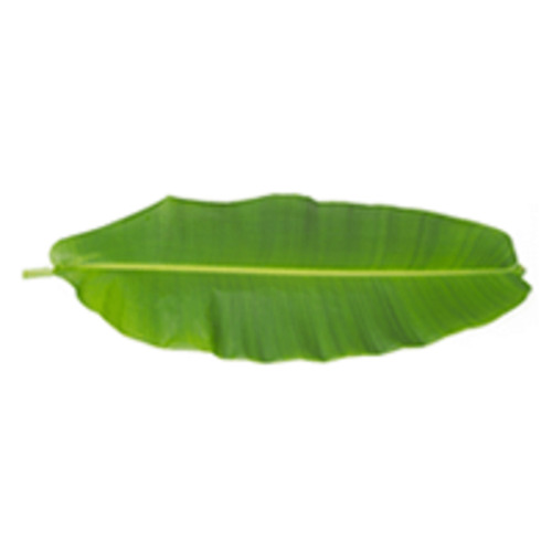 Banana Leaf, 5 Pcs