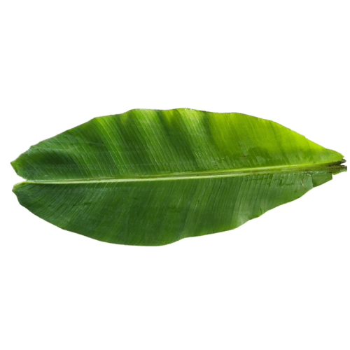 Banana Leaf, 1 Pc