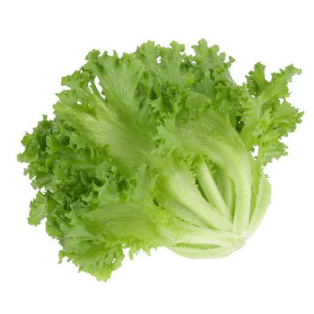 Lettuce Green Curly/Leafy, 250 gm