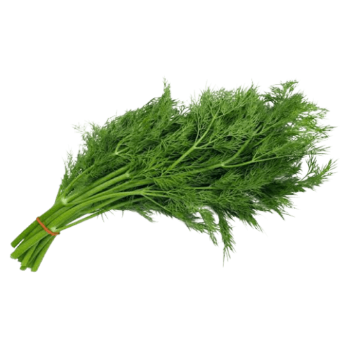 Suva/Dill Leaves, 250 gm