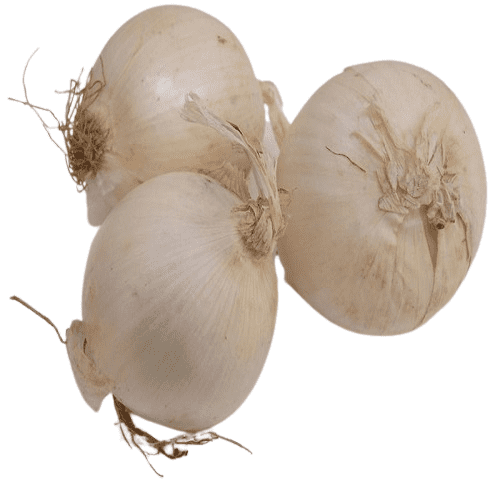 White Onion (Regular), 2 Kg