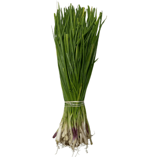 Spring Onion, 500 gm