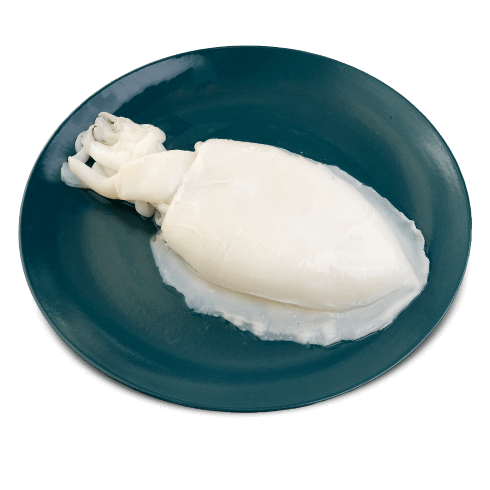 Frozen Cuttle Fish, 20% Glaze, 0.5-0.7 Kg