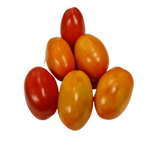 Tomato Hybrid (Mixed Size/Ripeness), 5 Kg	