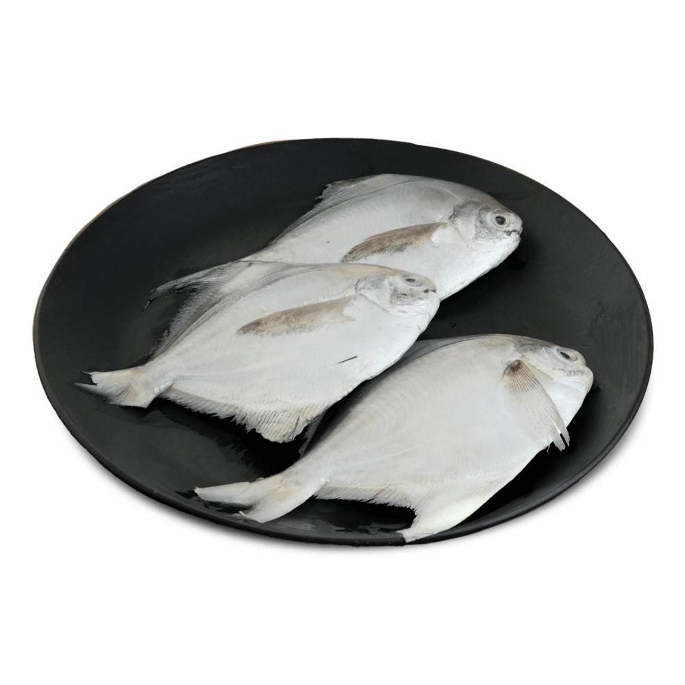 Frozen White Pomfret, 6-7 Pcs/Kg, 1 Kg