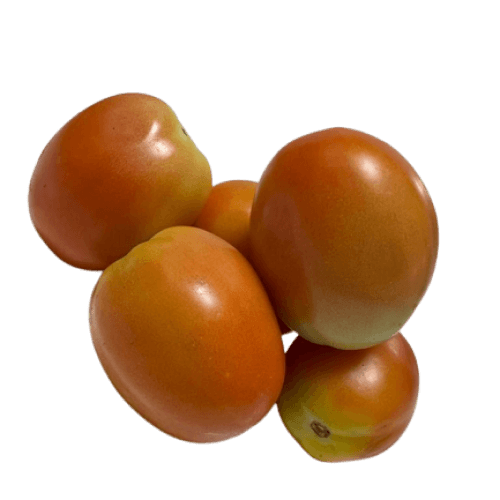 Tomato Hybrid (Premium, Semi Ripe, Orange to Red), 1 Kg