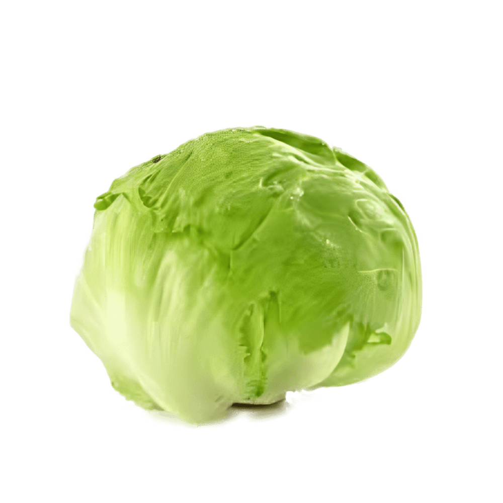 Lettuce Iceberg, 500 gm