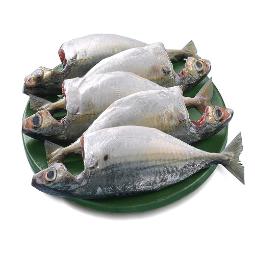 Frozen Mackerel Cleaned (3 - 5 Pcs), 1 Kg