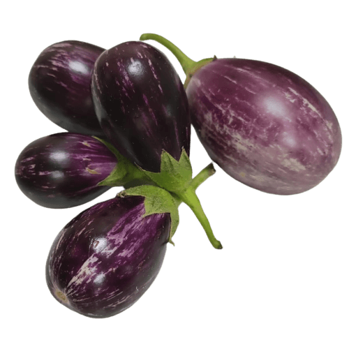 Brinjal - Purple Stripes/Varikatri, 1 Kg