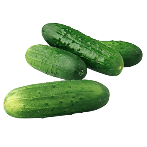 Indian Cucumber/Kheera (Premium), 500 gm