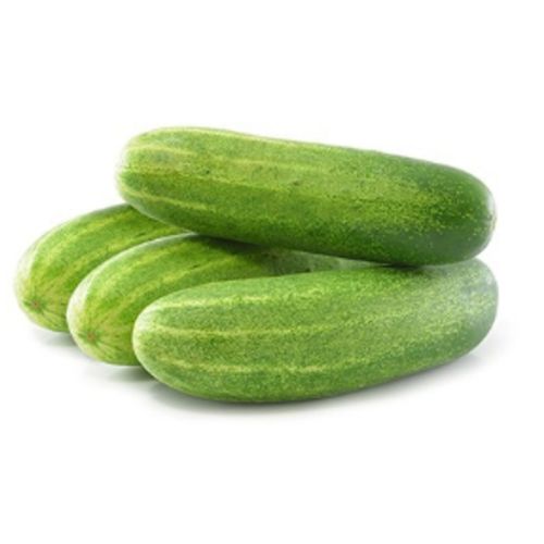 Indian Cucumber/Kheera (Economy), 1 Kg