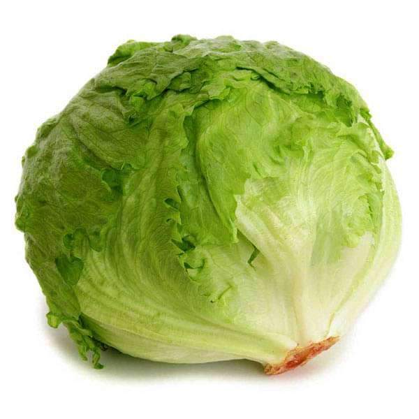 Lettuce Iceberg (Bulk), 1 Kg