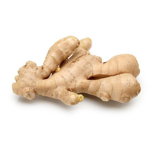 Ginger/Adrak (Economy, Unwashed, 100 gm+/Hand), 3 Kg