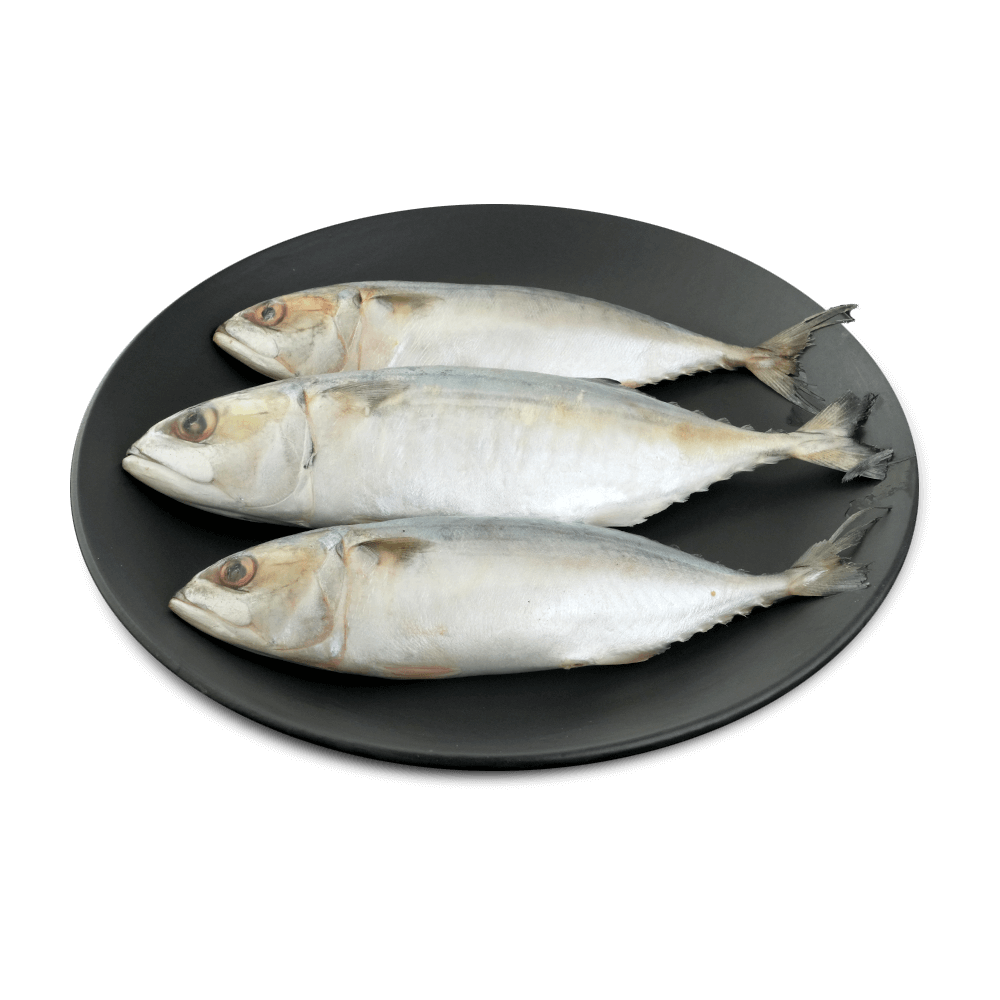 Frozen Mackerel Cleaned (7-10 Pcs), 1 Kg