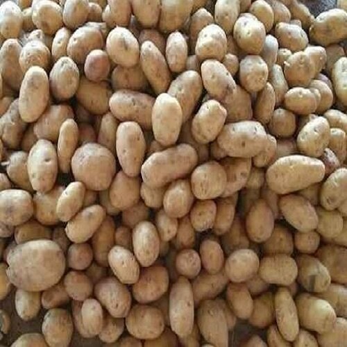 Potato (Market Grade, Unsorted), 20 Kg