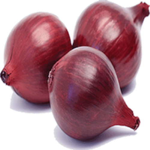 Onion Premium Large (Size - 65 mm+), 30 Kg