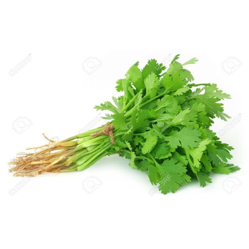 Coriander Leaves/Kothamali Thalai (Mix/Un-sorted Grade), 500 gm