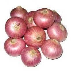 Onion Premium (55 mm+), 1 Kg