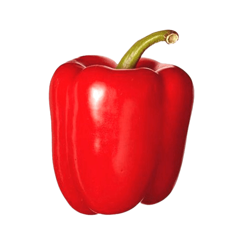 Red Capsicum (Premium), 400 - 600 gm