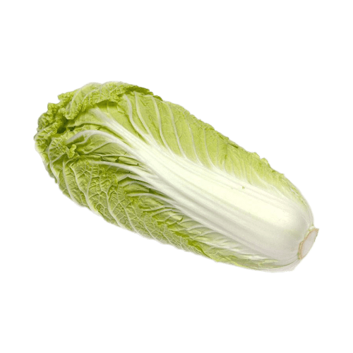 Chinese Cabbage, 1.5 Kg (Approx)