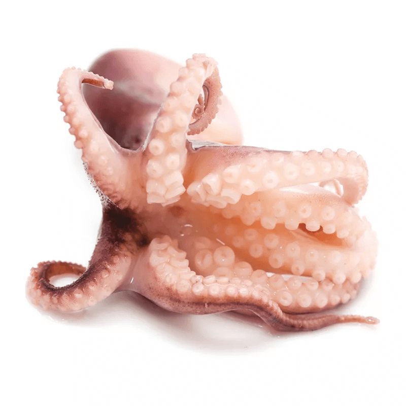 Frozen Baby Octopus (20-40 Pcs), 20% Glaze, 1 Kg Pack