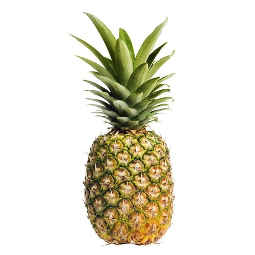 Pineapple/Ananasa (Juice Grade), (0.8 - 1.25 Kg), 1 Pc