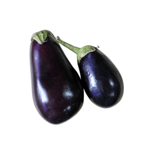 (GT) Brinjal Big/Bharta Baingan/Eggplant, 2 Kg