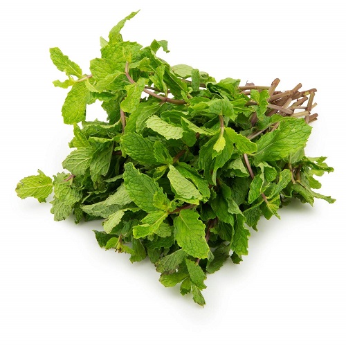 Pudina / Mint Leaves, 200 gm