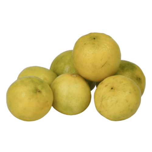 Lemon Yellow/Greenish, 470 gm - 530 gm