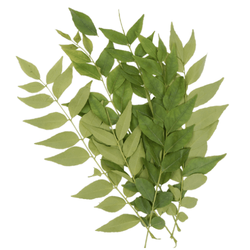 Curry Leaves, 100 gm