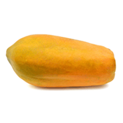 Papaya (Ripe to Semi Ripe), 1 Pc  (1.2 - 2.5 Kg)