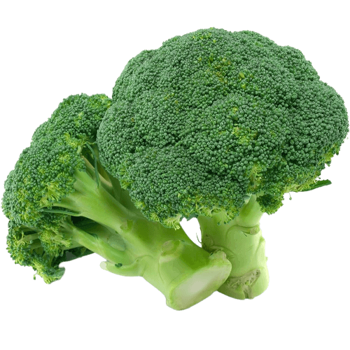 Broccoli, 1 Pc (300 - 400 gm)