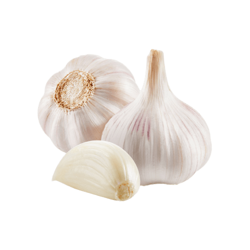 China Garlic Whole, 480 - 520 gm