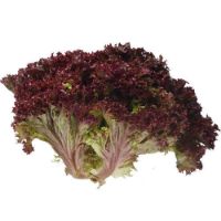 Lettuce Loloroso/Red, 250 gm