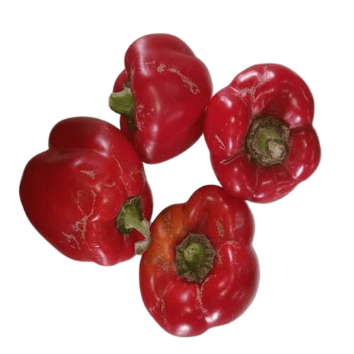 Red Capsicum (Economy), 500 gm