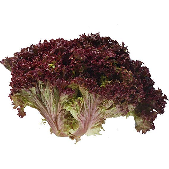 Lettuce Loloroso/Red, 200 gm