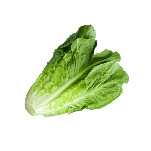 Lettuce Romain, 250 gm