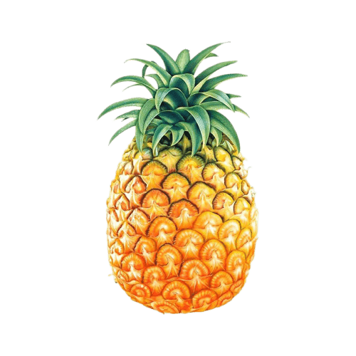 Pineapple (800 gm - 1.25 Kg), 1 Pc