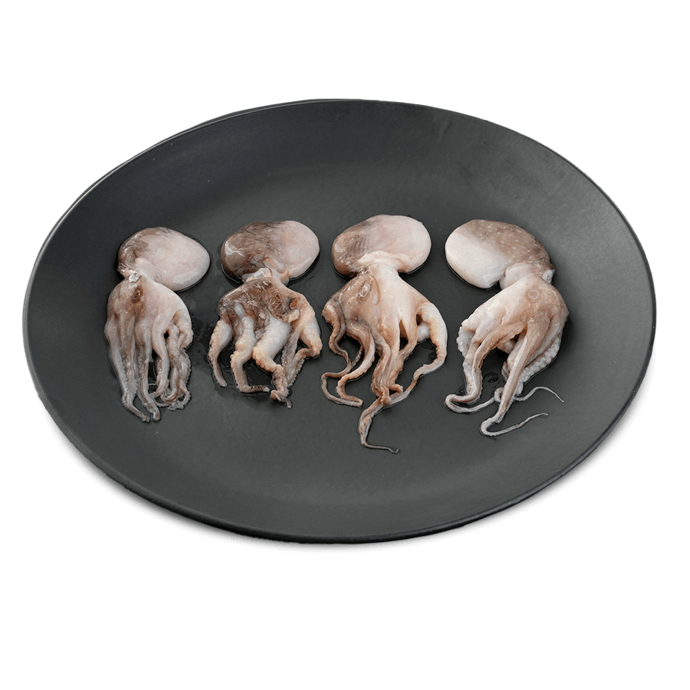 Frozen Baby Octopus (20-40 Pcs), 20% Glaze, 1 Kg Pack