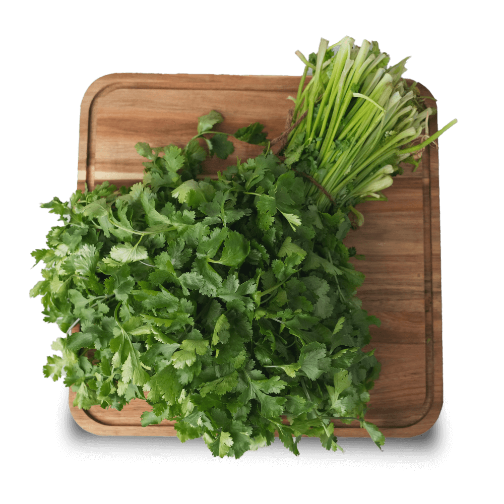  Coriander Leaves/Dhaniya, 1 Kg