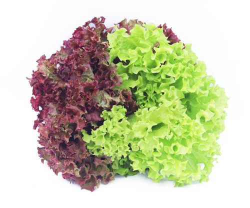 Lettuce Mix - Red/Green (Hydroponic), 200 gm