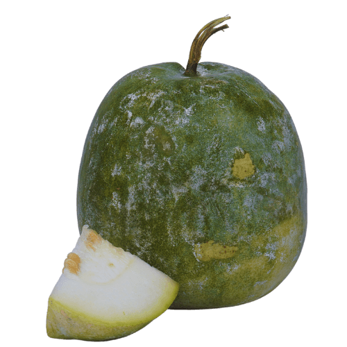 Ash Gourd (2.5 - 4.5 Kg), 1 Pc