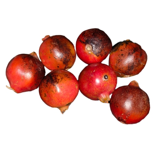 Pomegranate (Juice Grade/For Juice), 1 Kg