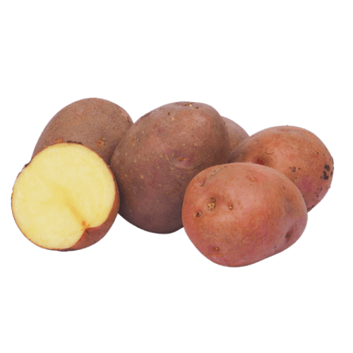 Red Potato - Lady Rosetta (LR), 2 Kg