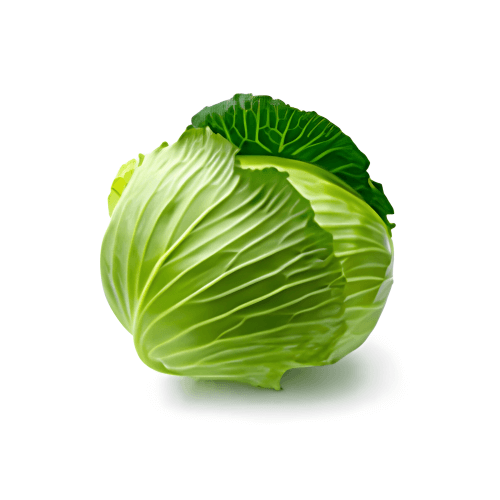 Cabbage/Patta Gobi, 1 Kg