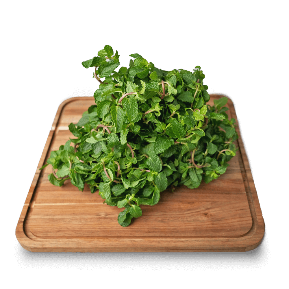 Pudina / Mint Leaves, 200 gm