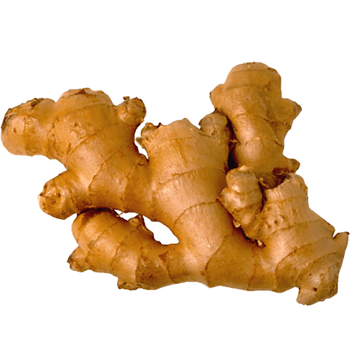 Ginger Unwashed (New Crop), 750 gm